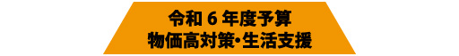 令和6年度予算　　物価高対策・生活支援