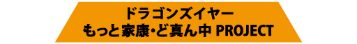 ドラゴンズイヤー　もっと家康・ど真ん中PROJECT